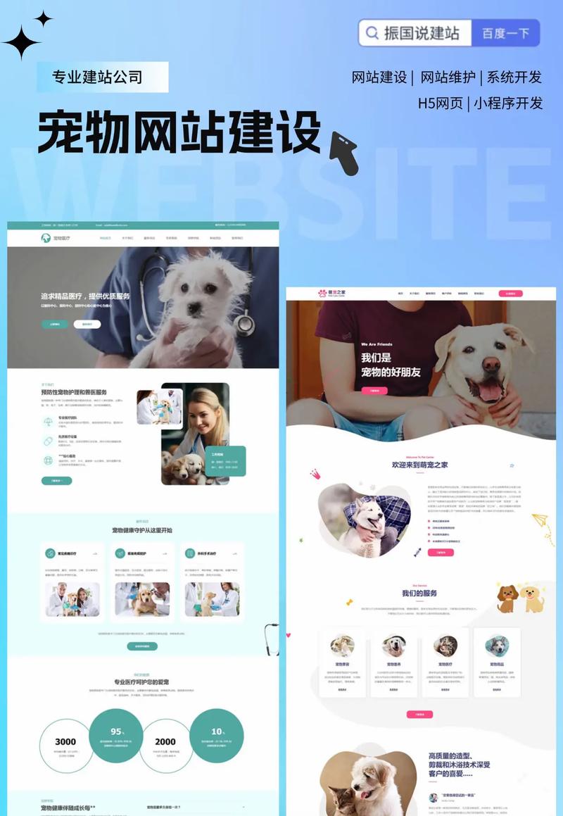 寵物網(wǎng)站建設(shè) 設(shè)計(jì)與實(shí)現(xiàn)全流程指南